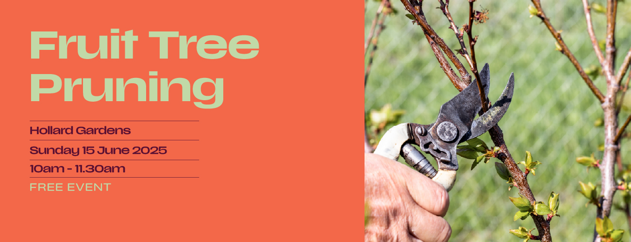Gardens   Hollard   Fruit Tree Pruning   2025   V2 1080 x 1080 Website Banner