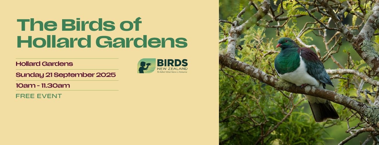 Gardens   Hollard   The Birds of Hollard Gardens   2025 03 12 Website Banner