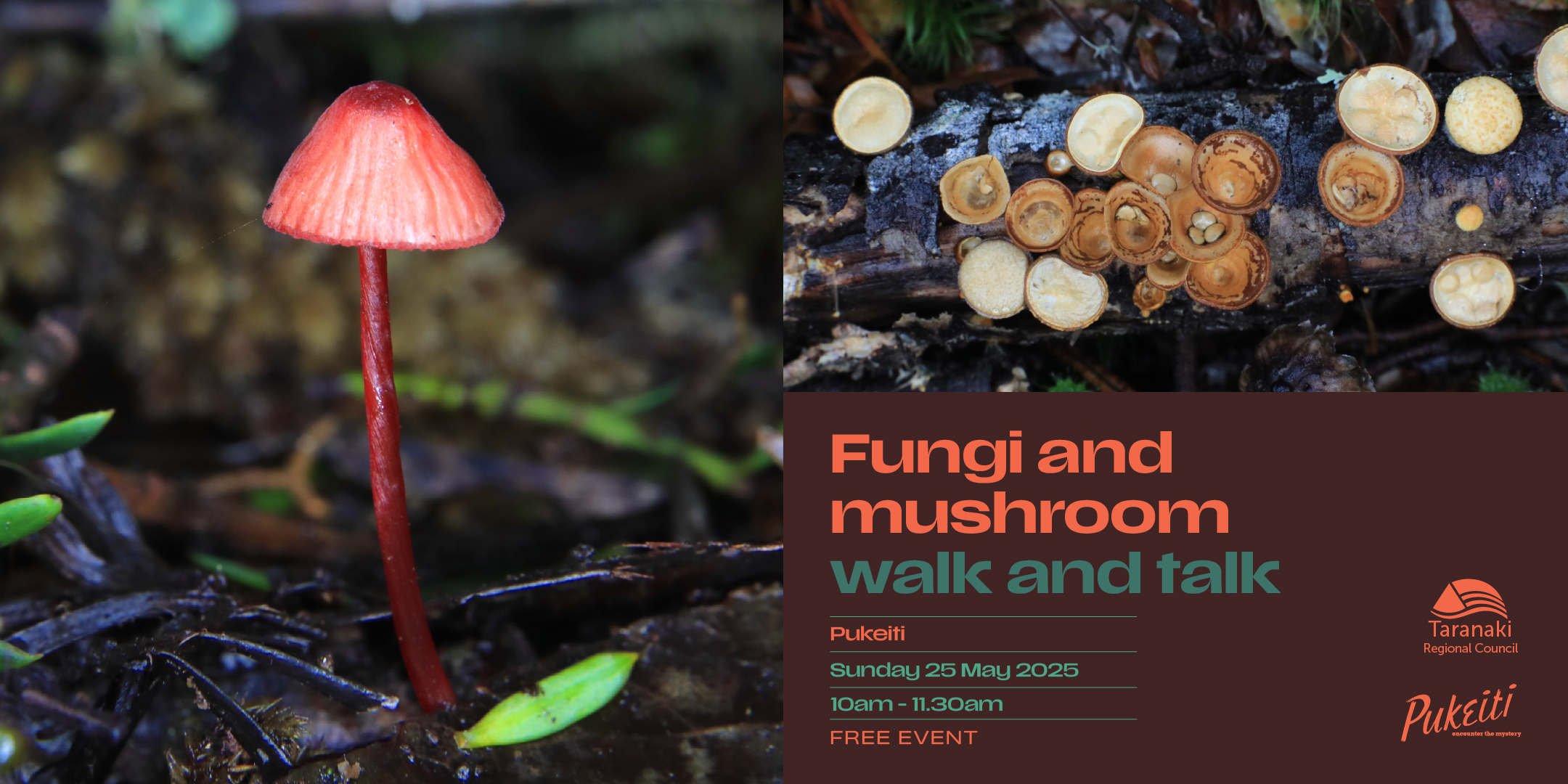 Gardens   Pukeiti   Fungi and mushroom walk and talk   2025  Eventbrite Banner