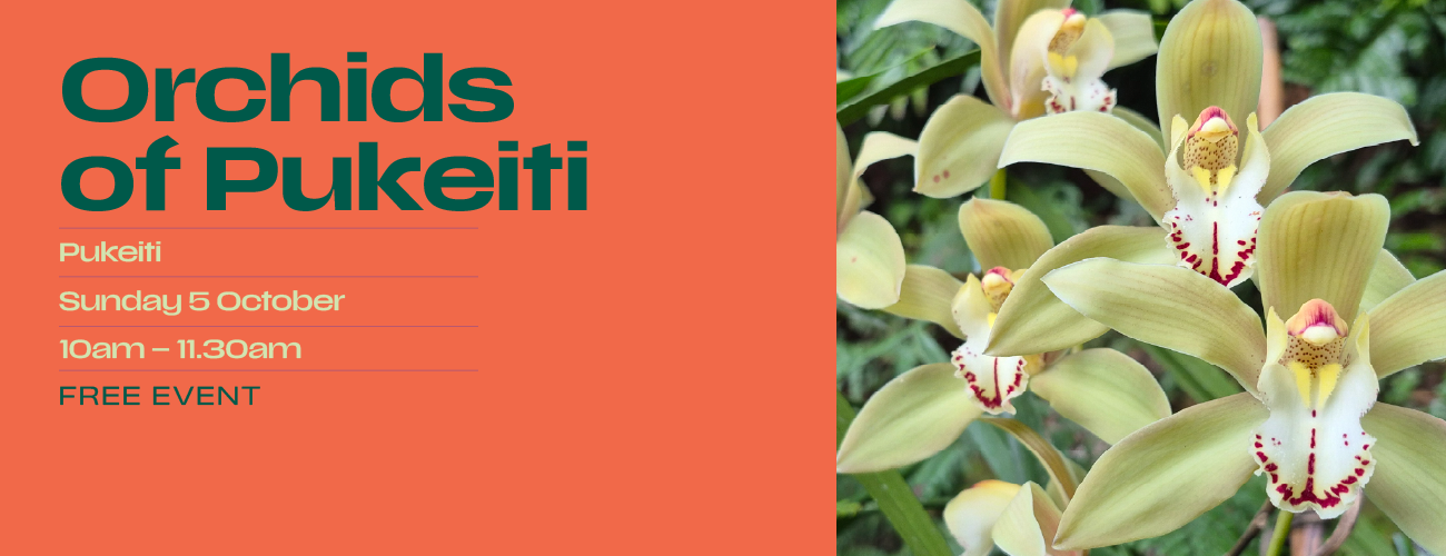 Gardens   Pukeiti   Orchids of Pukeiti   V2   2025 Website Banner