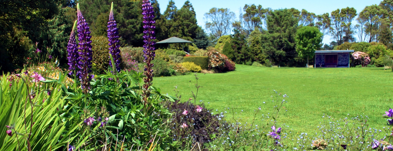 Hollard main lawn banner