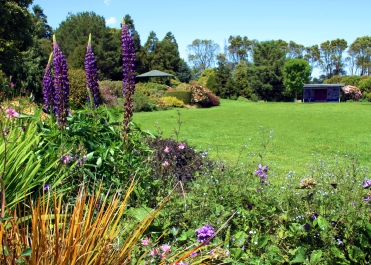 Pukeiti lodge lawn