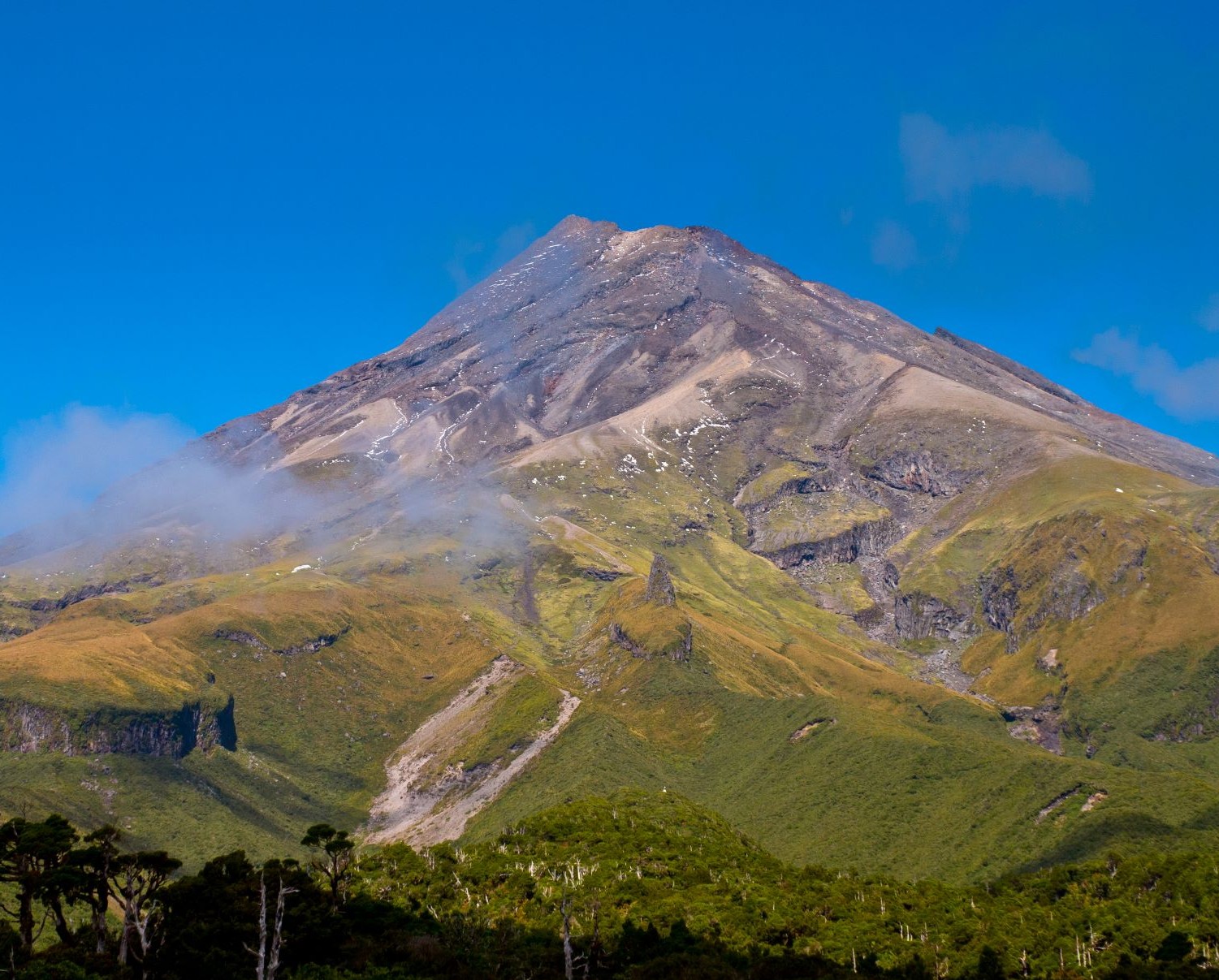 Egmont National Park Jan 2019 web2
