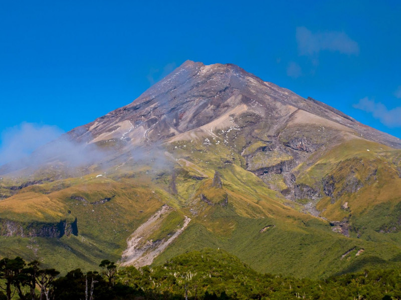 Egmont National Park Jan 2019 web2