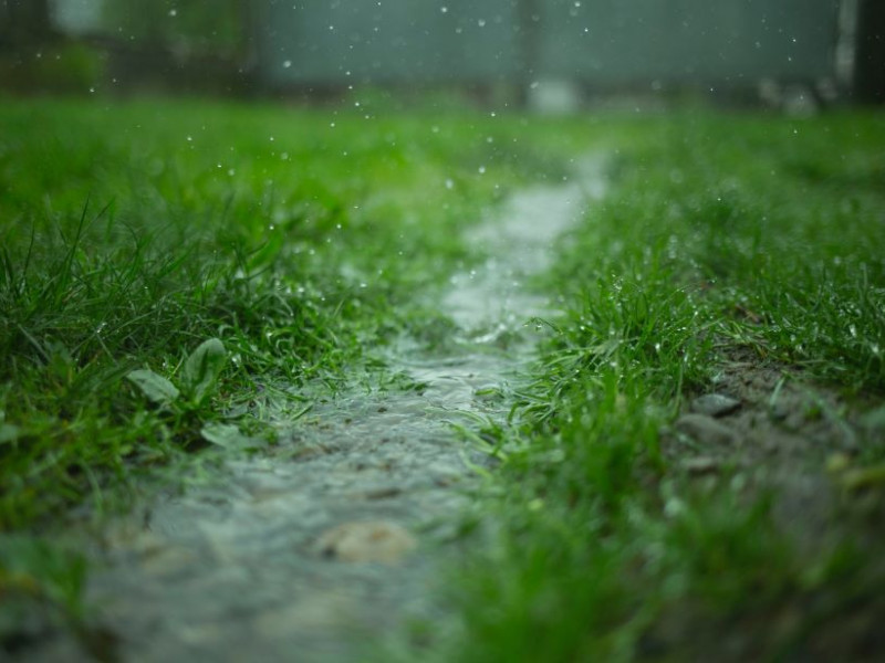 Heavy rain stock image