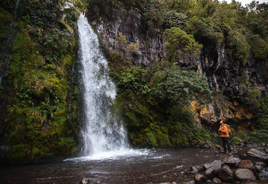 Taranaki Maunga Dawson Falls TaranakiStory 133
