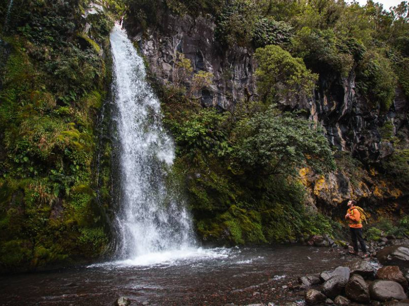 Taranaki Maunga Dawson Falls TaranakiStory 133