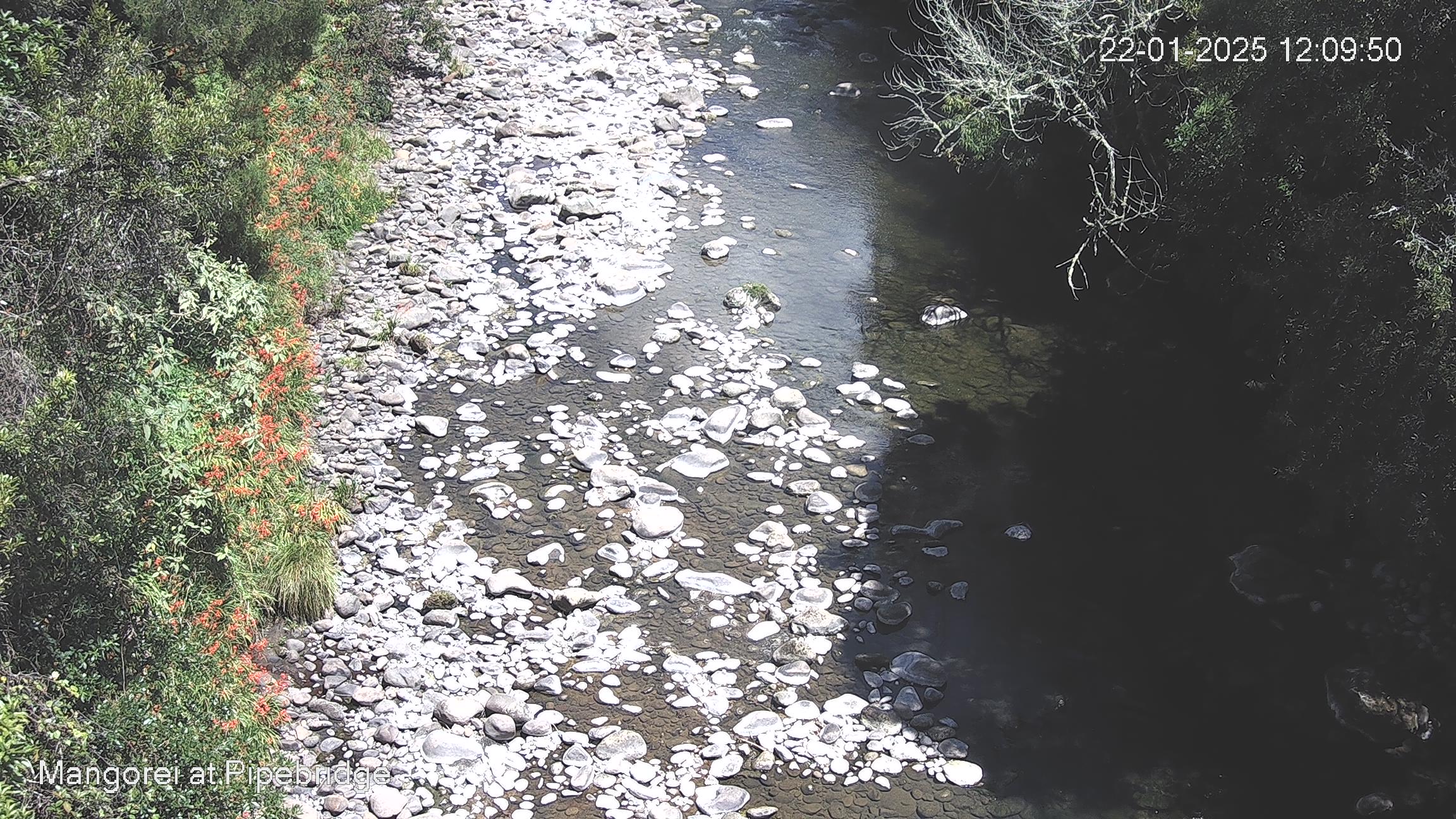 Latest webcam image - Mangorei at Pipebridge, click for more images